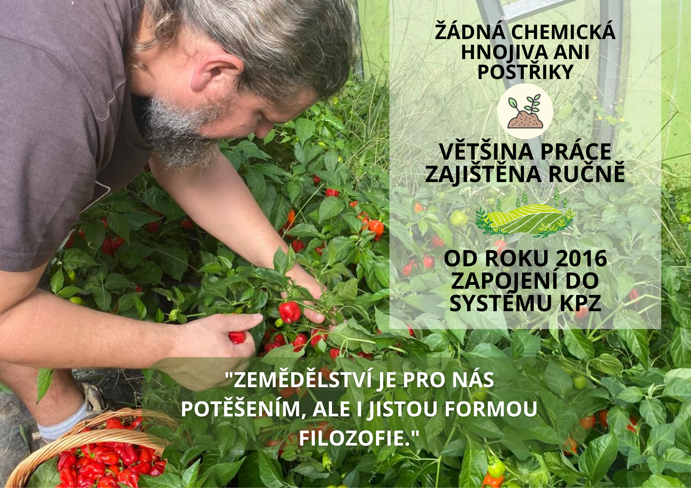 podporuje funkci štítné žlázy (12)